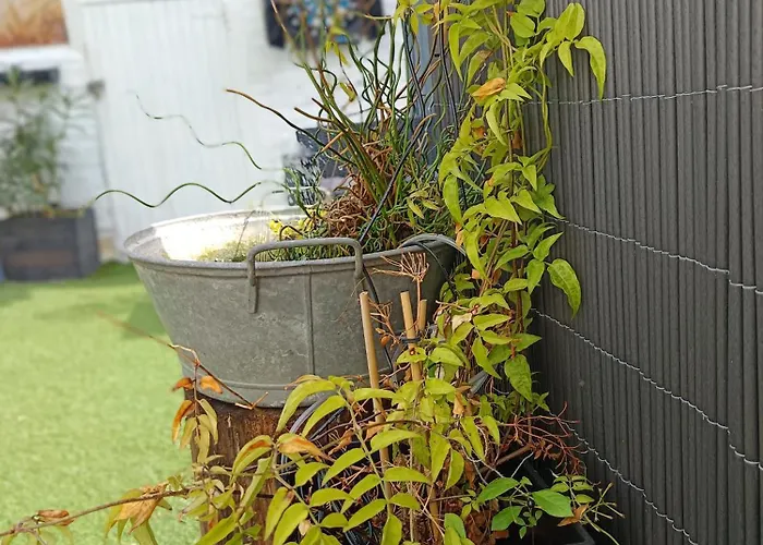 Le Cocon Des Hortillonnages D\'Amiens