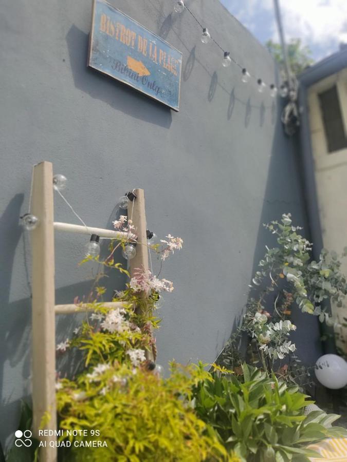 Le Cocon Des Hortillonnages D'amiens *