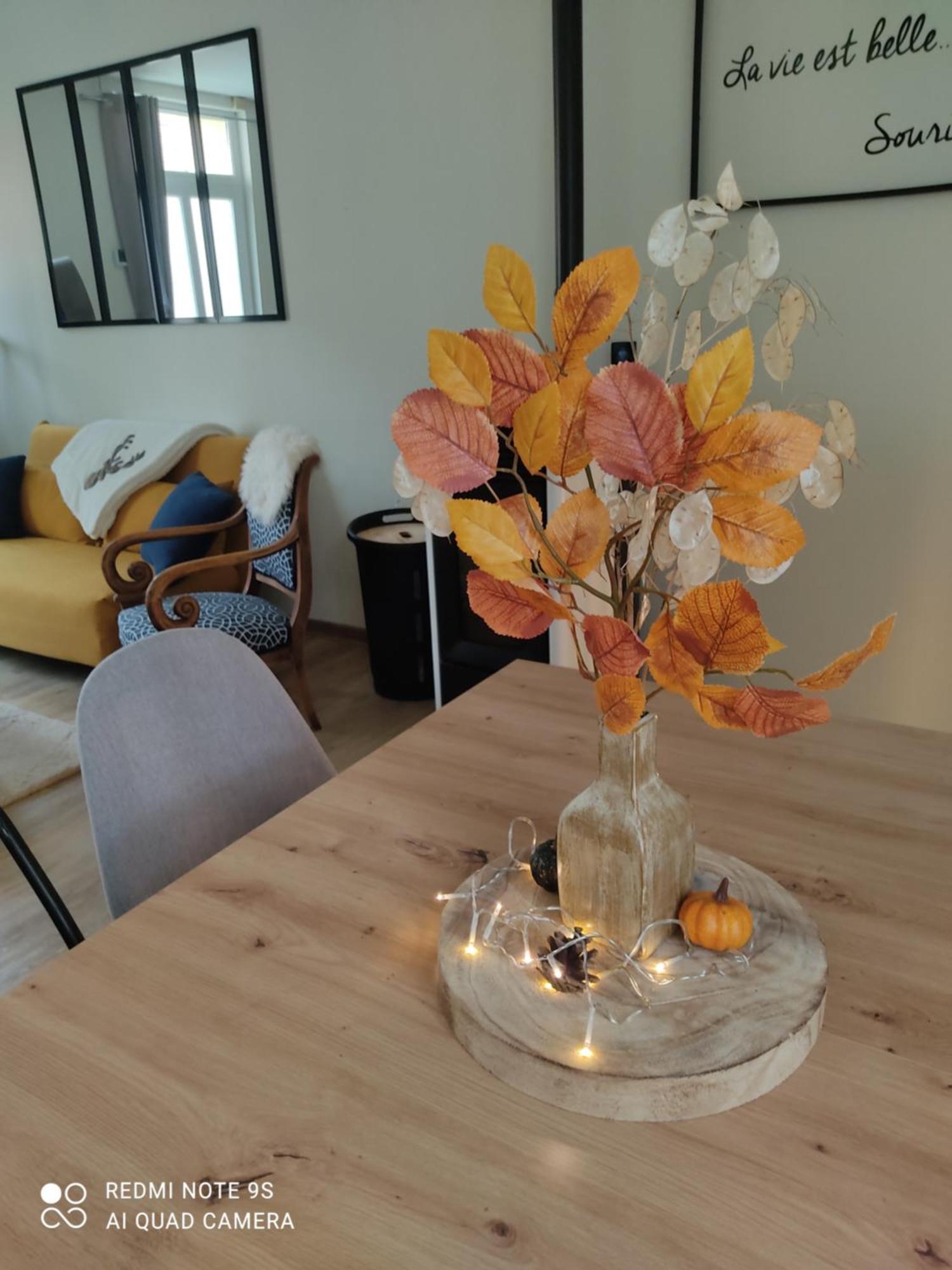 Le Cocon Des Hortillonnages D'amiens