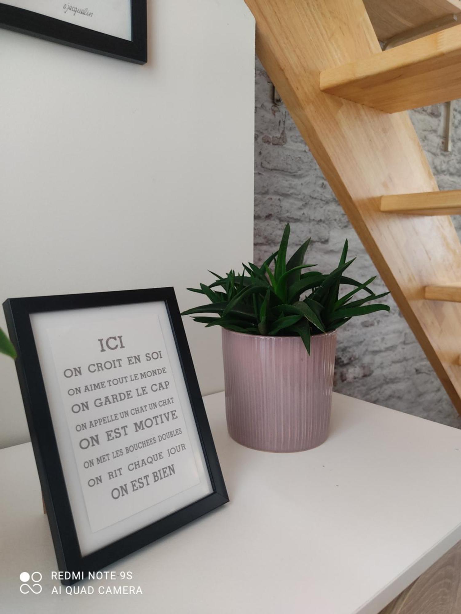 Le Cocon Des Hortillonnages D'amiens *