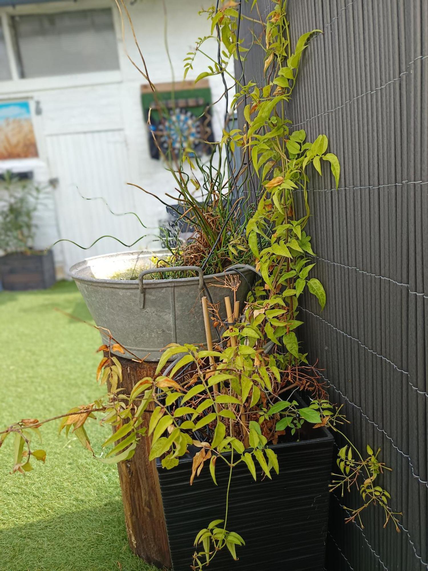 Le Cocon Des Hortillonnages D'amiens *
